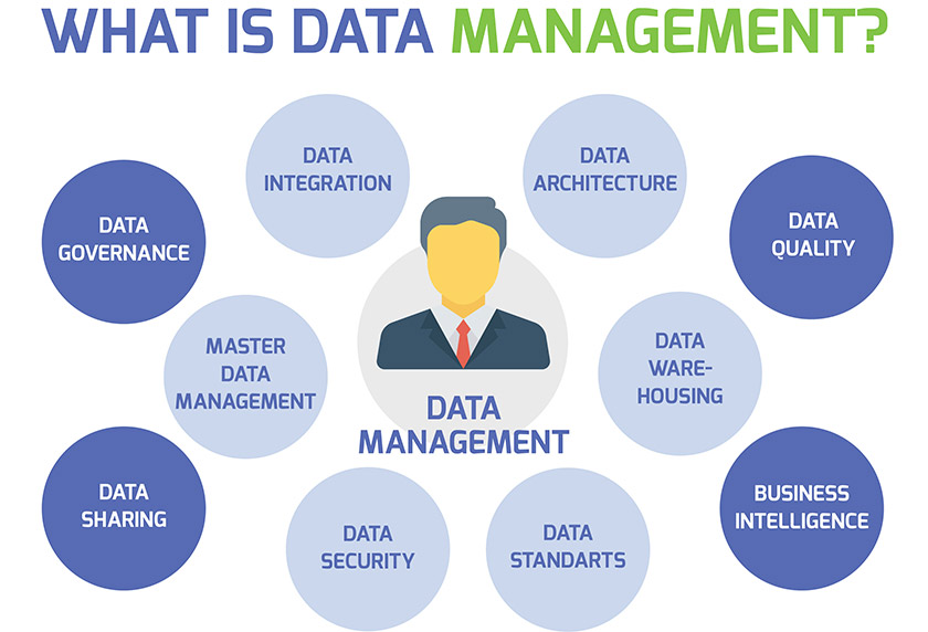 Data management cycle is shown by a circle. The various process involved in data management is the parts of the ring.